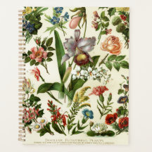 Blumen Botanik