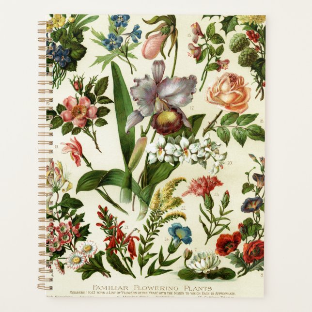 Blumen Botanik Planer (Vorderseite)