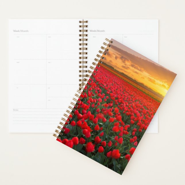 Blumen | Botanischer Garten Holland Planer (Anzeige)