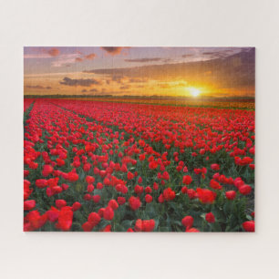 Blumen   Botanischer Garten Holland Puzzle