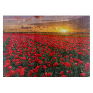 Blumen   Botanischer Garten Holland Schneidebrett