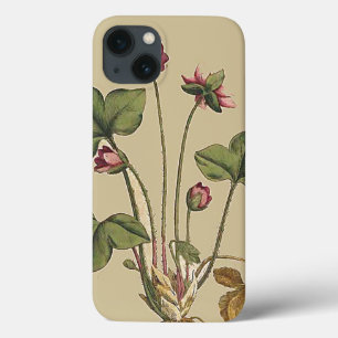 Blumen Botanischer Garten iPhone 6 Hülle