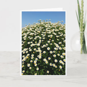 Blumen-Burst-Musterkarte Karte