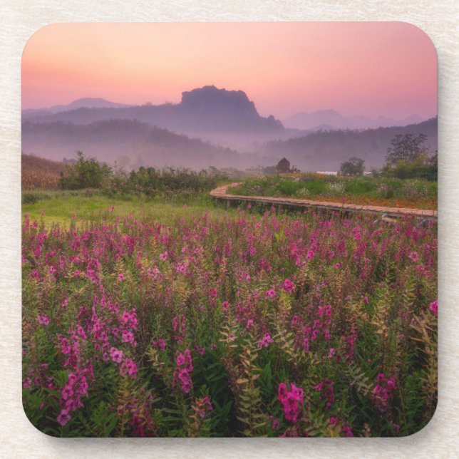 Blumen | Chiang Dao, Chiang Mai, Thailand Getränkeuntersetzer (Vorderseite)