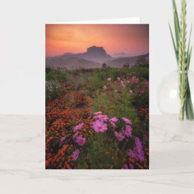 Blumen | Chiang Dao, Chiang Mai, Thailand Karte (Vorderseite)