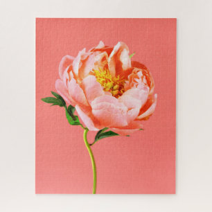 Blumen   Coral Peony Blossom Puzzle