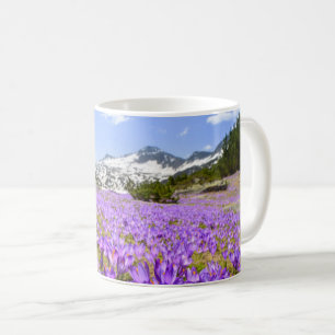 Blumen Crocus Pirin Mountain Park Bulgarien Kaffeetasse