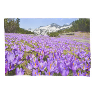 Blumen Crocus Pirin Mountain Park Bulgarien Kissenbezug