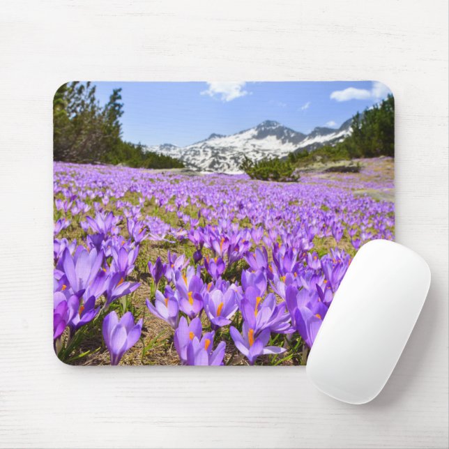 Blumen | Crocus Pirin Mountain Park Bulgarien Mousepad (Mit Mouse)