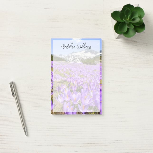Blumen | Crocus Pirin Mountain Park Bulgarien Post-it Klebezettel (Büro)