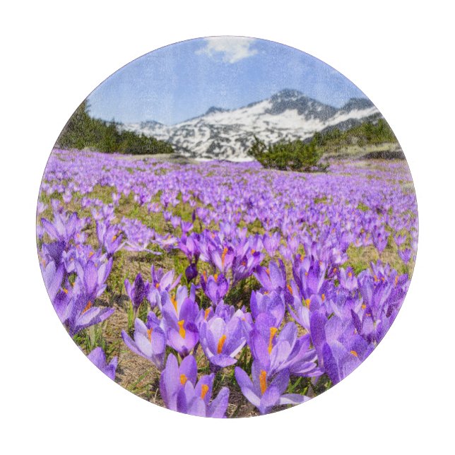 Blumen | Crocus Pirin Mountain Park Bulgarien Schneidebrett (Vorderseite)