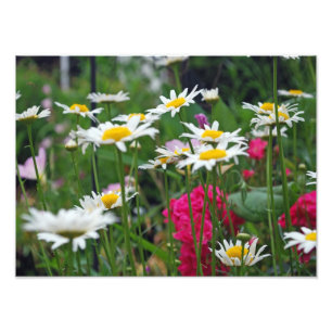 Blumen der Welt Fotodruck