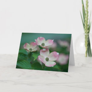 Blumen   Dogwood-Blüten Karte