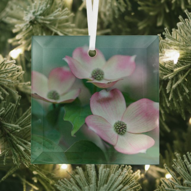 Blumen | Dogwood-Blüten Ornament Aus Glas (Insitu)
