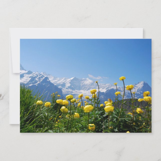 Blumen | Eiger Monch Schweizer Alpen Dankeskarte (Vorderseite)
