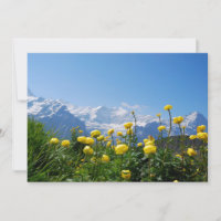 Blumen | Eiger Monch Schweizer Alpen