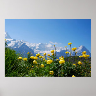 Blumen   Eiger Monch Schweizer Alpen Poster