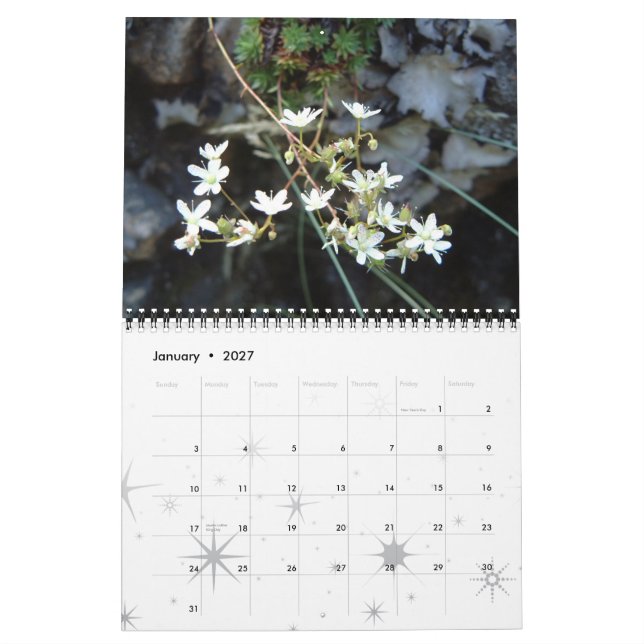 Blumen, ein Jahr der Farbe Kalender (Jan 2027)