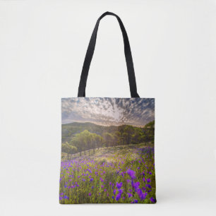 Blumen Flinders Ranges Australien