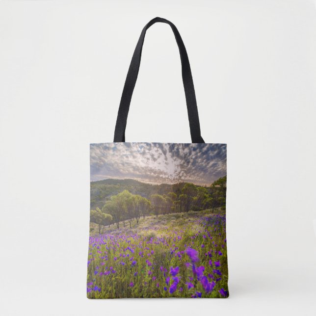 Blumen | Flinders Ranges Australien (Vorderseite)