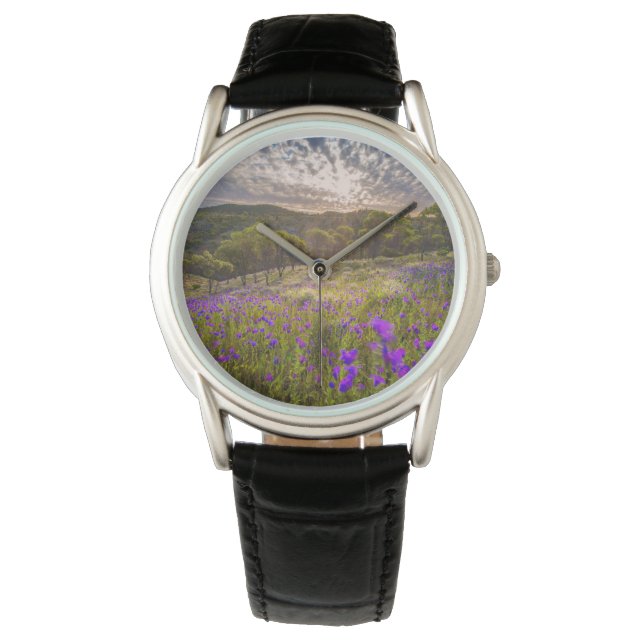Blumen | Flinders Ranges Australien Armbanduhr (Vorderseite)