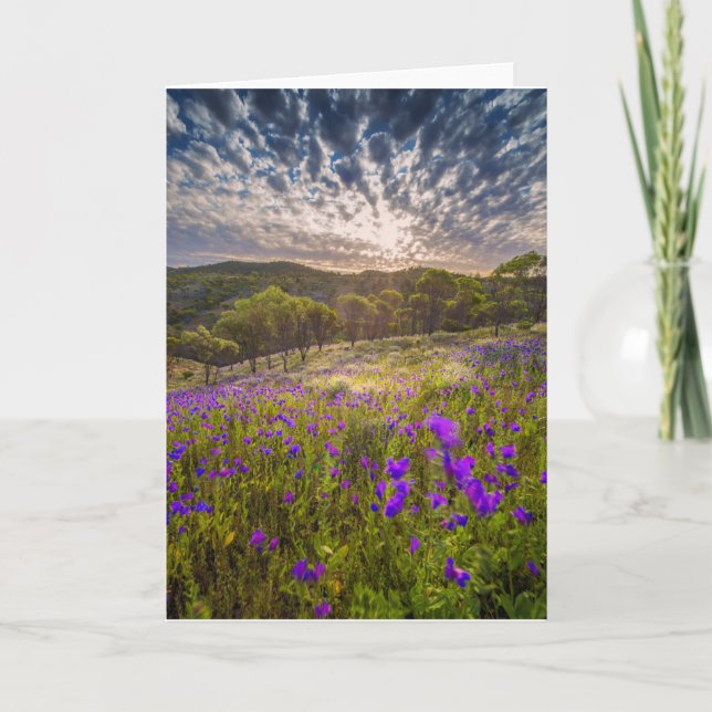 Blumen | Flinders Ranges Australien Karte (Vorderseite)
