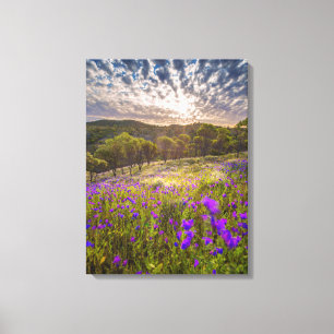 Blumen Flinders Ranges Australien Leinwanddruck