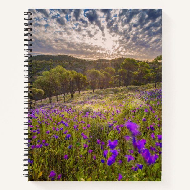 Blumen | Flinders Ranges Australien Notizbuch (Vorderseite)