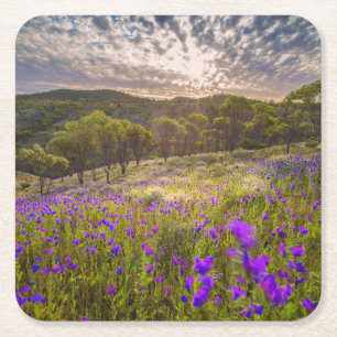 Blumen   Flinders Ranges Australien Rechteckiger Pappuntersetzer