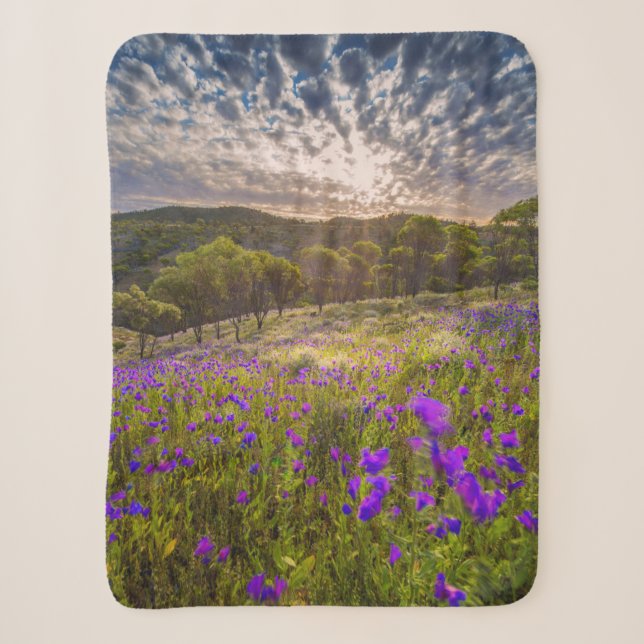 Blumen | Flinders Ranges Australien Sherpadecke (Vorderseite)