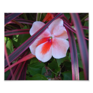 Blumen-Foto Fotodruck