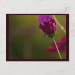 Blumen-Foto-Postkarte Feiertagspostkarte