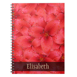 Blumen-Foto-rote Garten-Lilien irgendein Name Notizblock