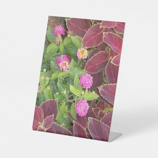 Blumen Foto Sockelschild (Vorderseite)