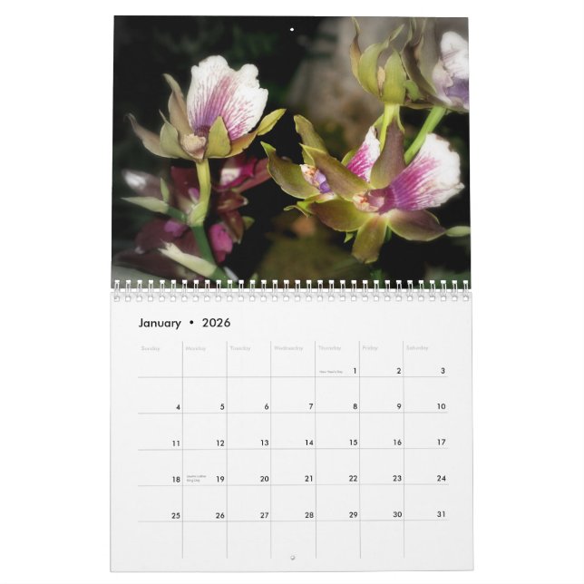 Blumen-Fotografie-Kalender 2010 Kalender (Jan 2026)