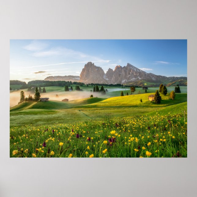 Blumen | Frühjahrsalpe di Siusi Langkofel Poster (Vorne)