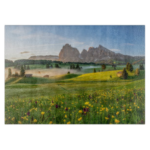Blumen   Frühjahrsalpe di Siusi Langkofel Schneidebrett