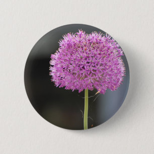 Blumen für Alle Button