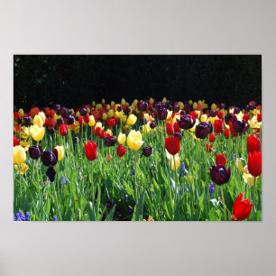 Blumen-Garten Poster