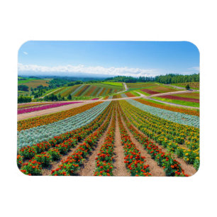 Blumen-Garten   Shikisai kein Oka Blumen-Bauernhof Magnet