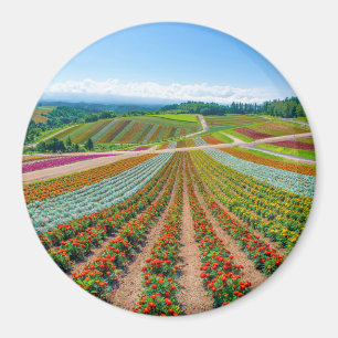 Blumen-Garten Shikisai kein Oka Blumen-Bauernhof Magnet