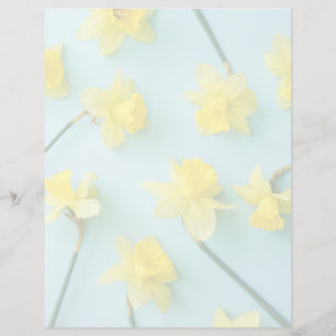Blumen   Gelbe Daffodien