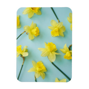 Blumen   Gelbe Daffodien Magnet