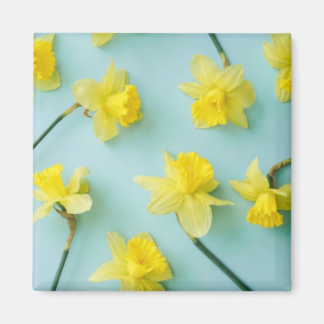 Blumen | Gelbe Daffodien Magnet (Vorne)