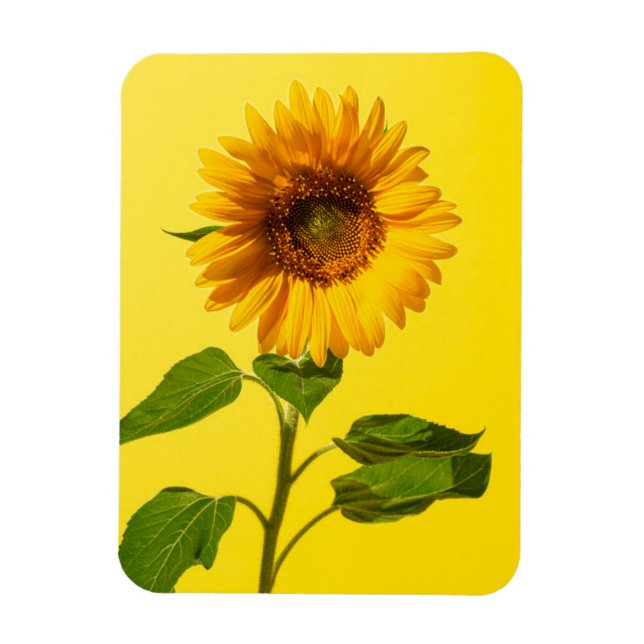 Blumen | Gelbe Sonnenblume Magnet (Vertikal)