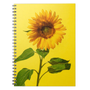 Blumen Gelbe Sonnenblume Notizblock