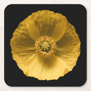 Blumen   Gelber Mohn Rechteckiger Pappuntersetzer
