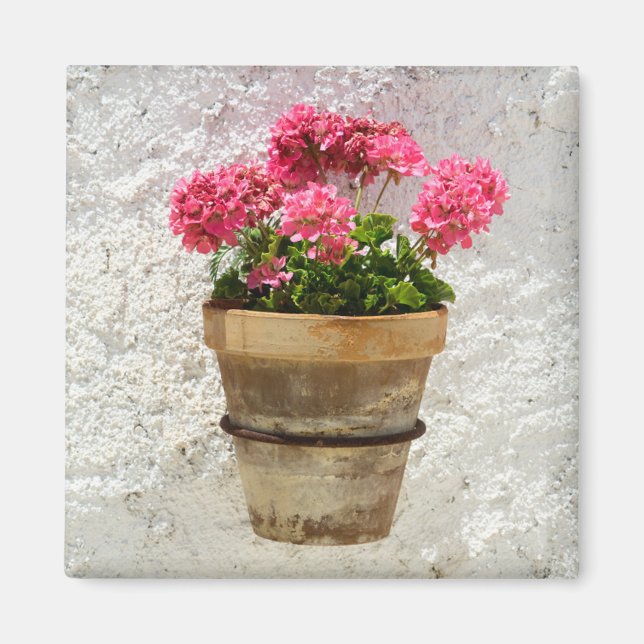 Blumen | Geranium in Blume in Pot Magnet (Vorne)