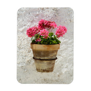 Blumen   Geranium in Blume in Pot Magnet
