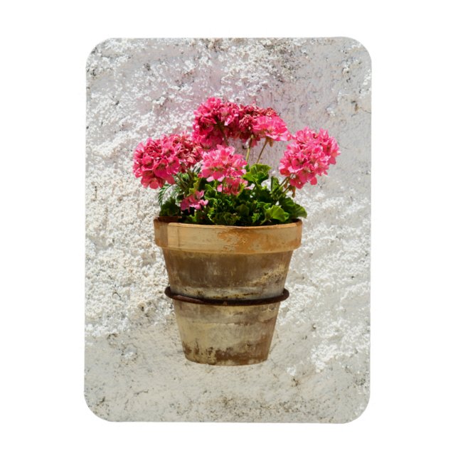Blumen | Geranium in Blume in Pot Magnet (Vertikal)